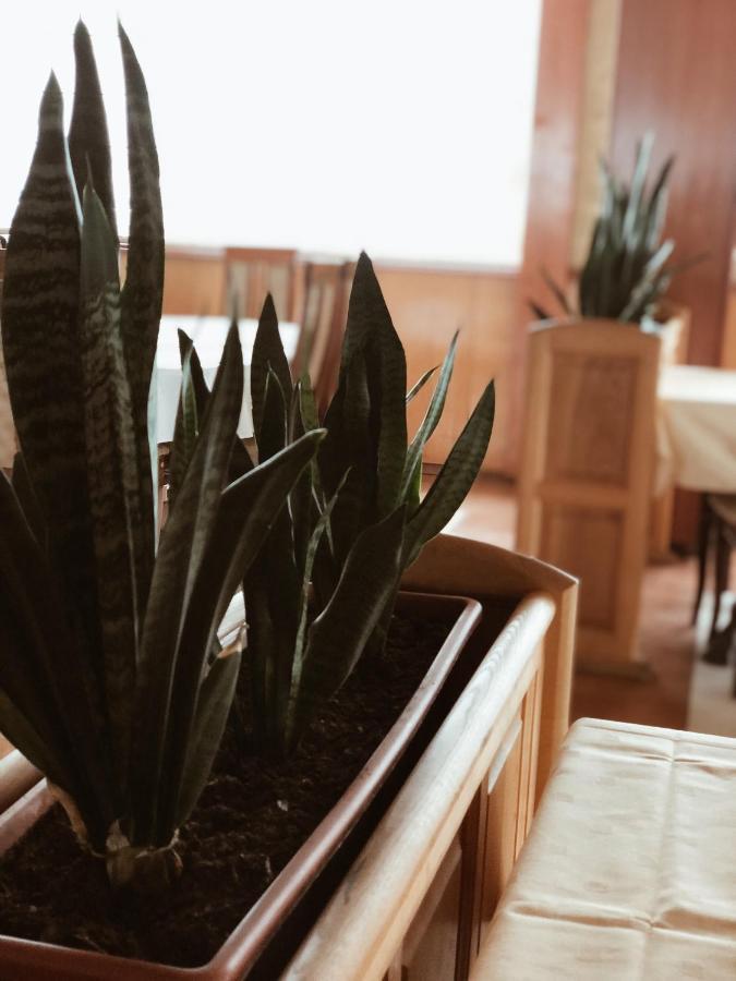 Hotel Kupres Kupres  Kültér fotó